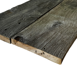 Planche d'aulne